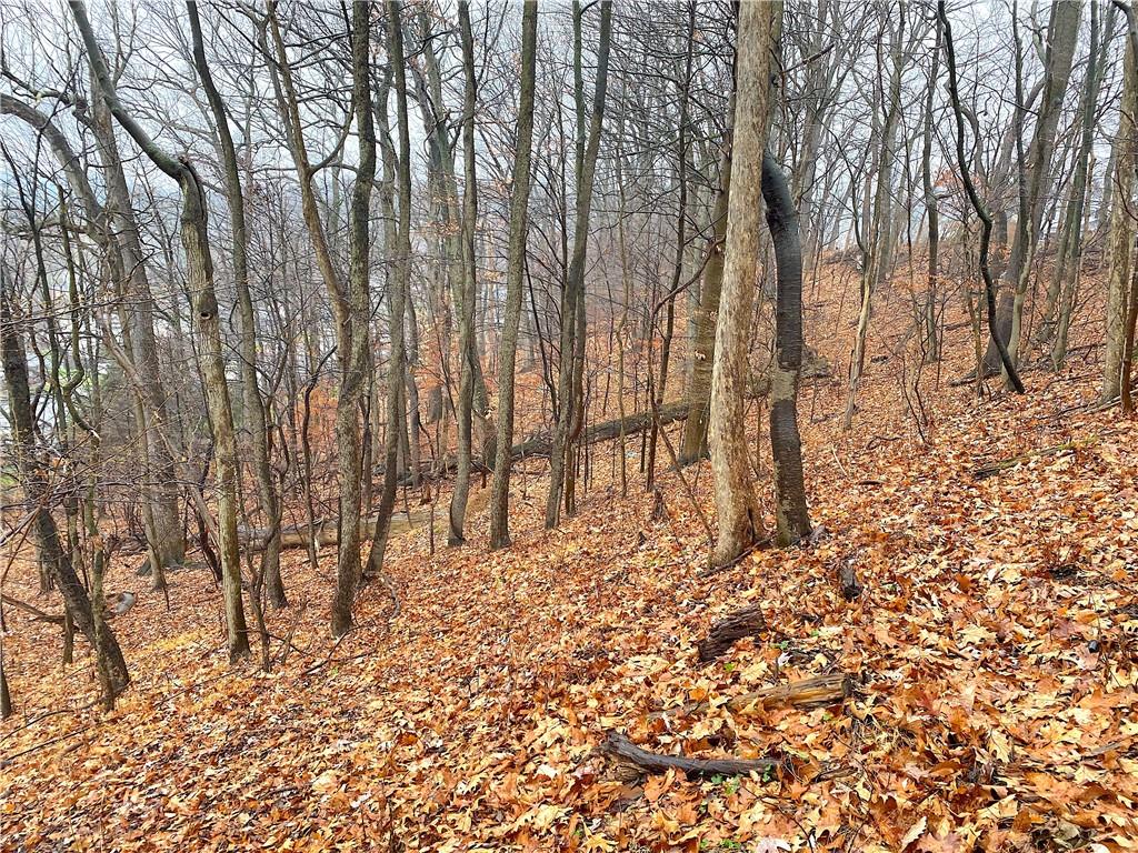 0 Blue Ridge Road Pittsburgh, PA 15239 - Photo 17 of 17 Gallery Image 17