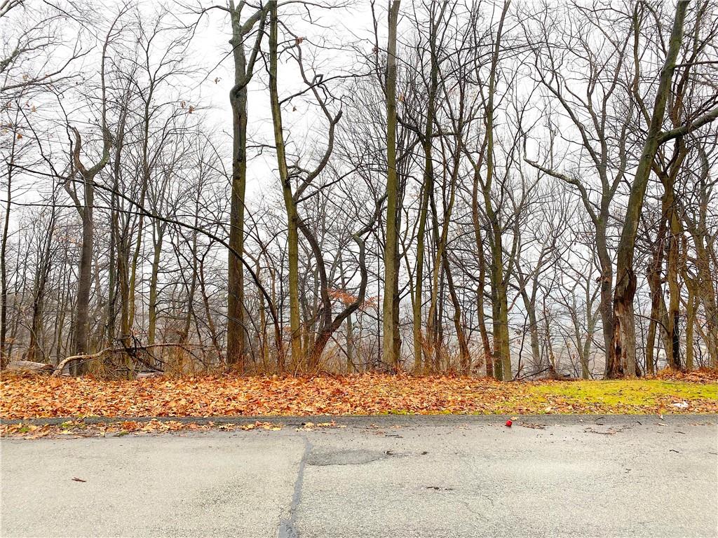 0 Blue Ridge Road Pittsburgh, PA 15239 - Photo 4 of 17 Gallery Image 4