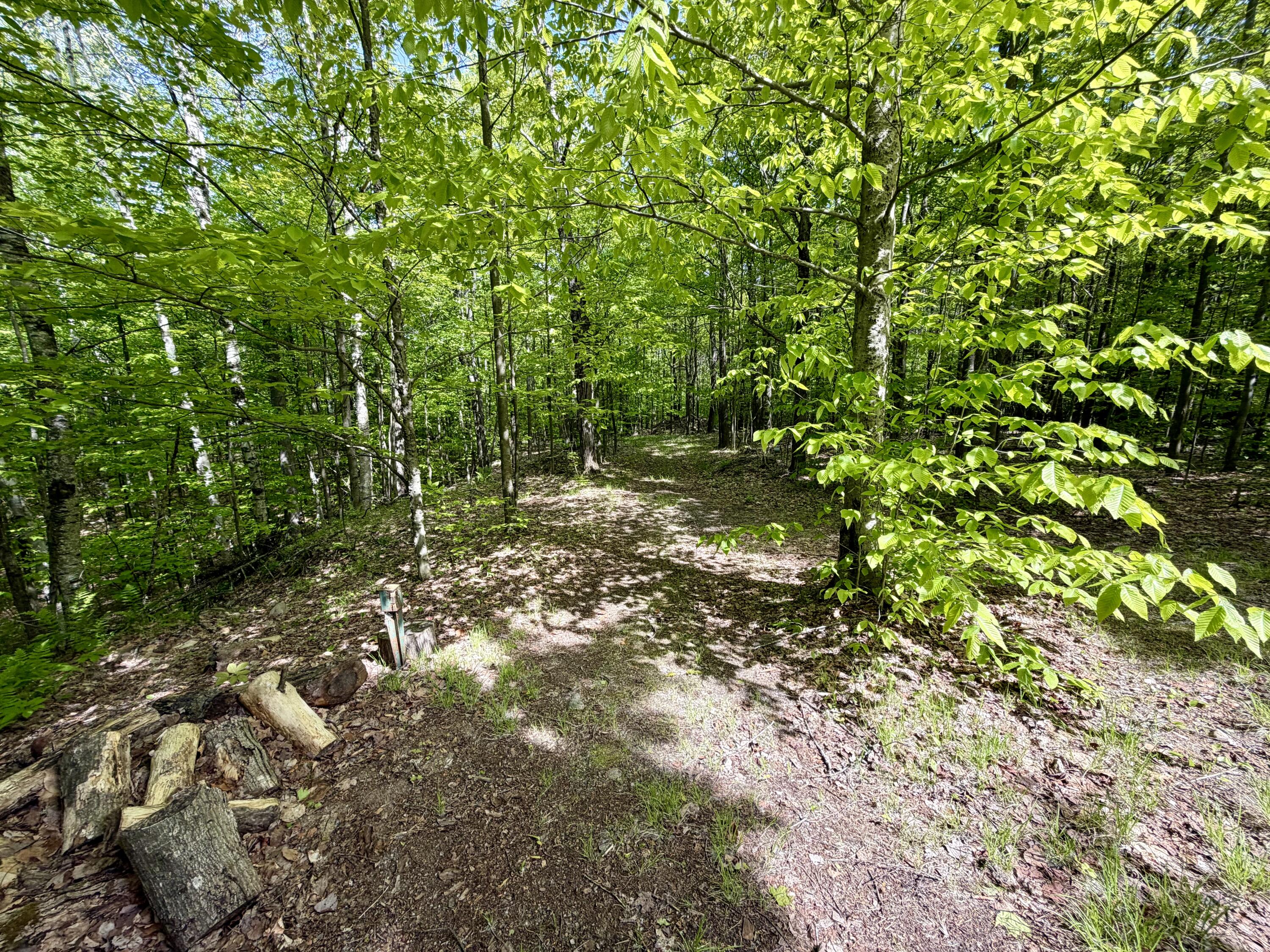 345 Brown-Benoit Road Malone, NY 12953 - Photo 38 of 41