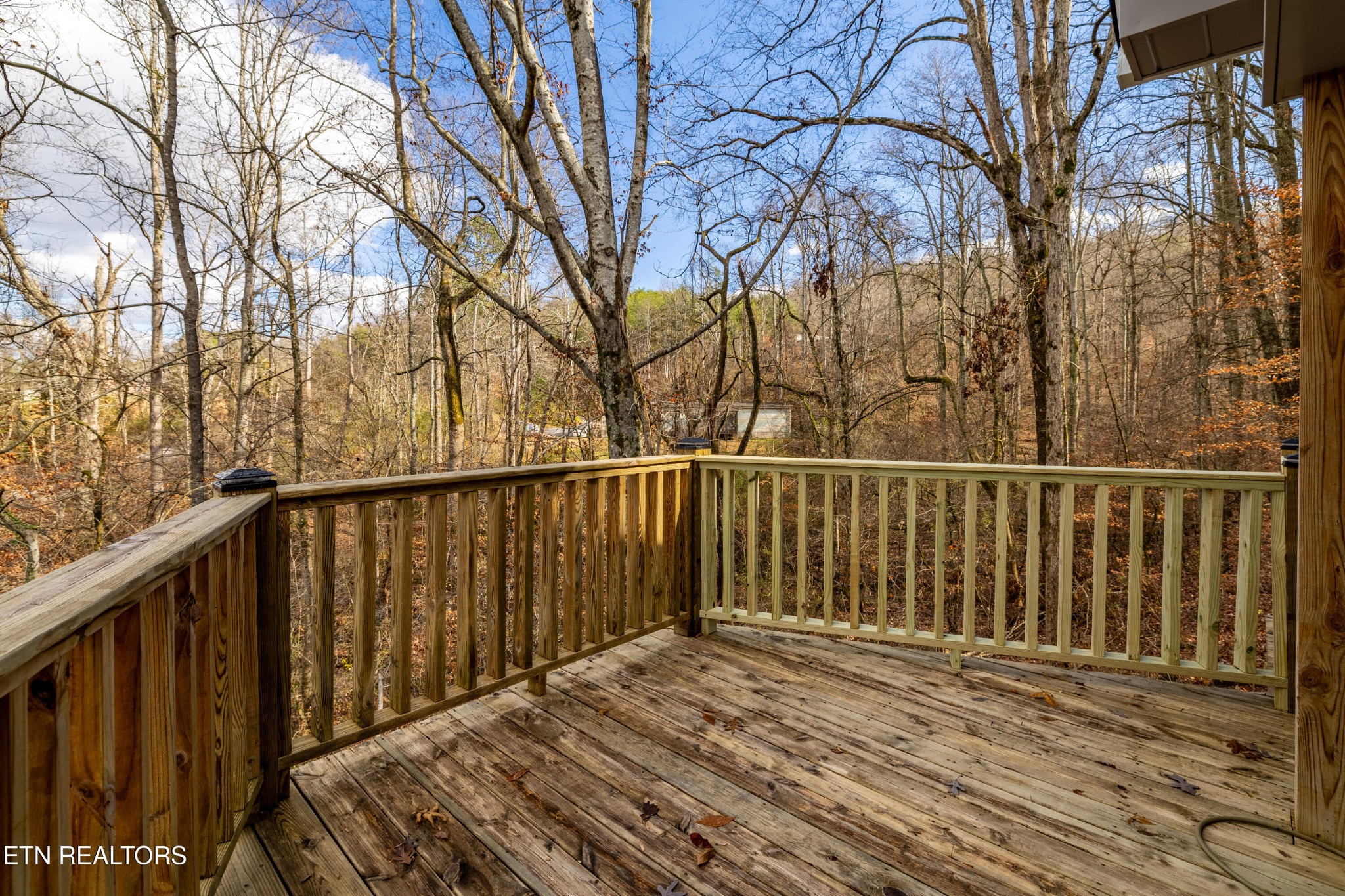 3883 Freels Road Friendsville, TN 37737 - Photo 37 of 45 Gallery Image 37