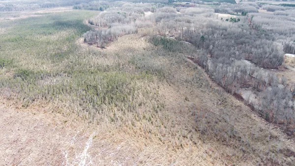 $89,000 | Tbd Tbd Owl Lake, Webster, WI 54893