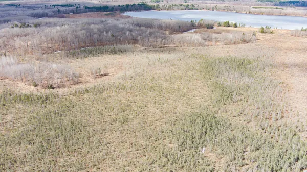 $89,000 | Tbd Tbd Owl Lake, Webster, WI 54893