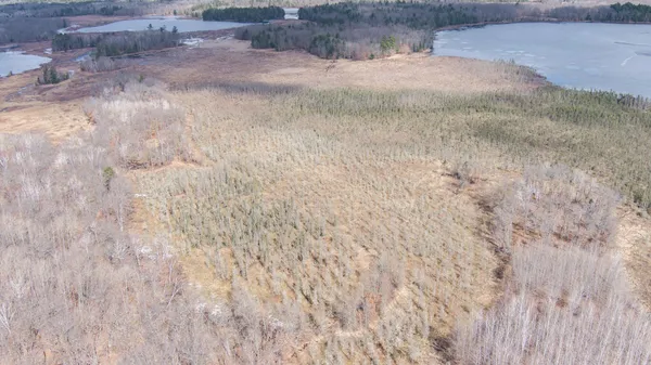 $89,000 | Tbd Tbd Owl Lake, Webster, WI 54893