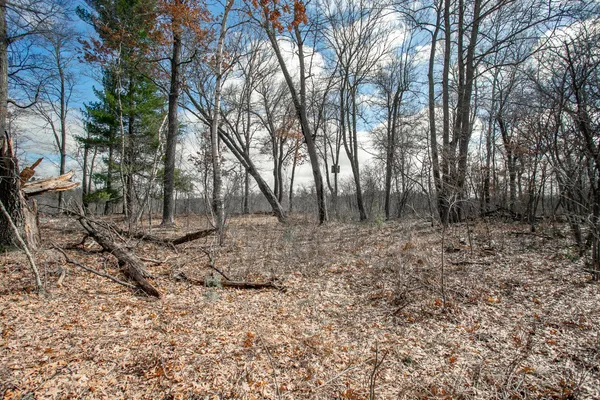 $89,000 | Tbd Tbd Owl Lake, Webster, WI 54893