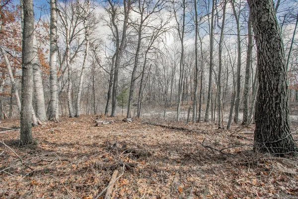 $89,000 | Tbd Tbd Owl Lake, Webster, WI 54893