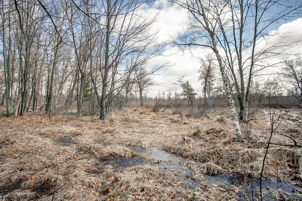 $89,000 | Tbd Tbd Owl Lake, Webster, WI 54893