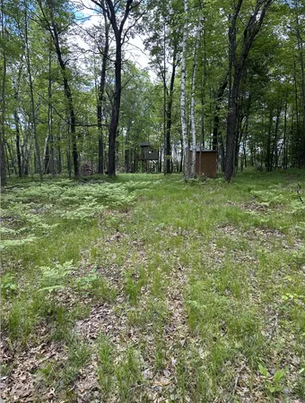 $89,000 | Tbd Tbd Owl Lake, Webster, WI 54893