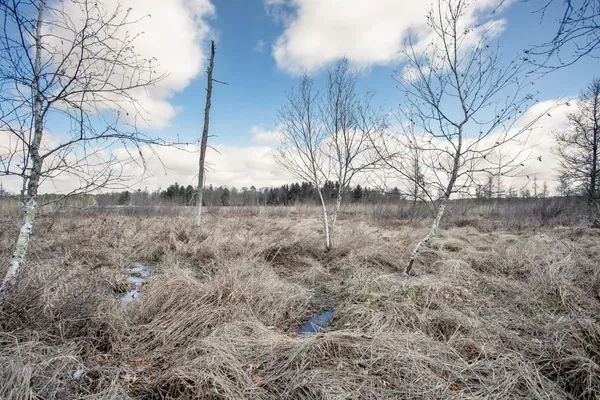 $89,000 | Tbd Tbd Owl Lake, Webster, WI 54893