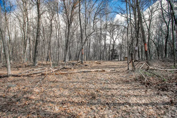 $89,000 | Tbd Tbd Owl Lake, Webster, WI 54893