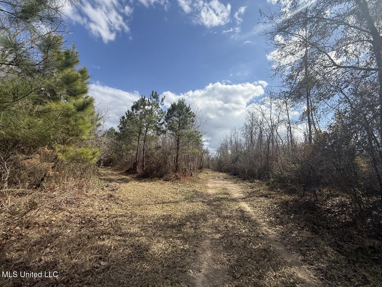 2600 Martin Tram Road Reeves, LA 70658 - Photo 14 of 40 IMG_0609 4 Large