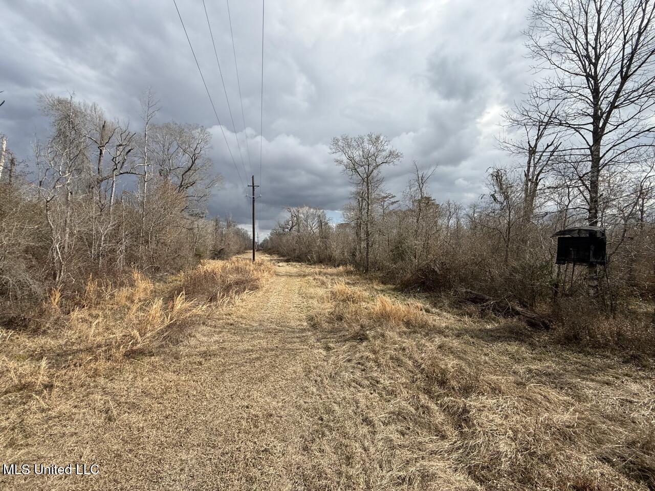 2600 Martin Tram Road Reeves, LA 70658 - Photo 15 of 40 IMG_0610 4 Large