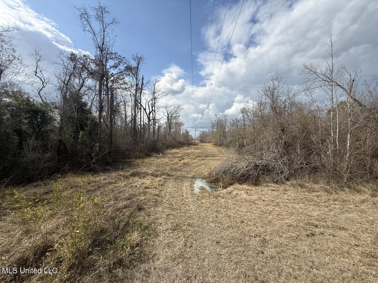 2600 Martin Tram Road Reeves, LA 70658 - Photo 17 of 40 IMG_0612 4 Large