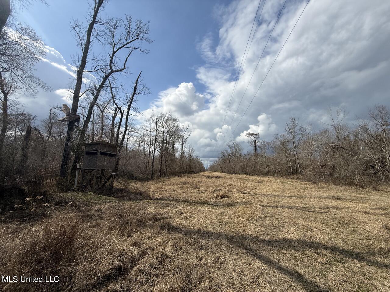 2600 Martin Tram Road Reeves, LA 70658 - Photo 18 of 40 IMG_0613 4 Large