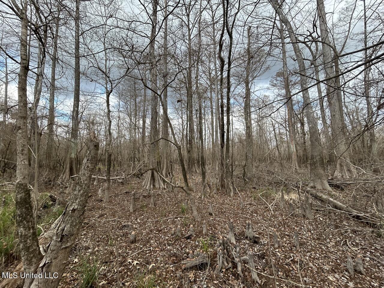 2600 Martin Tram Road Reeves, LA 70658 - Photo 24 of 40 IMG_2942 2 Large