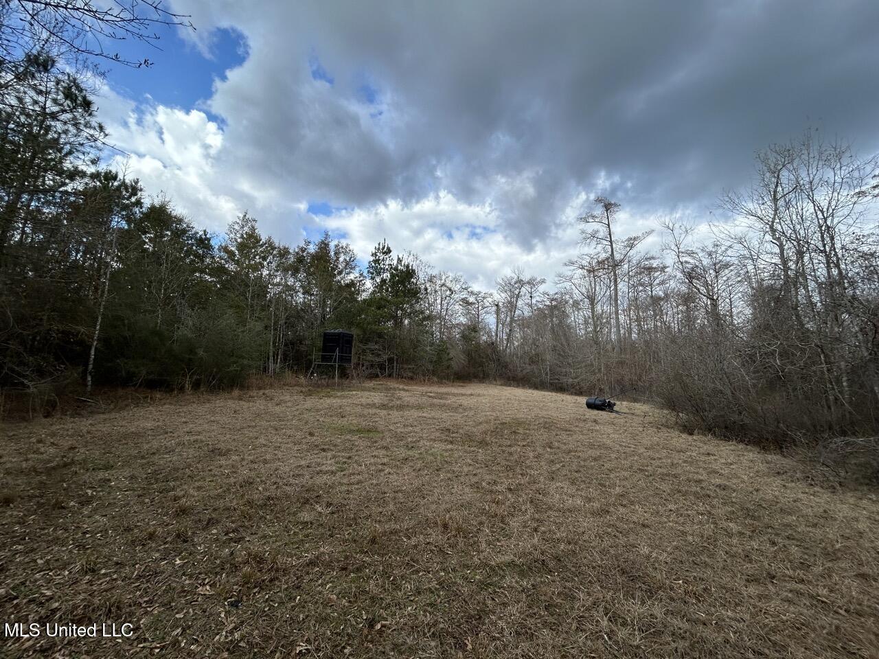 2600 Martin Tram Road Reeves, LA 70658 - Photo 27 of 40 IMG_2947 2 Large