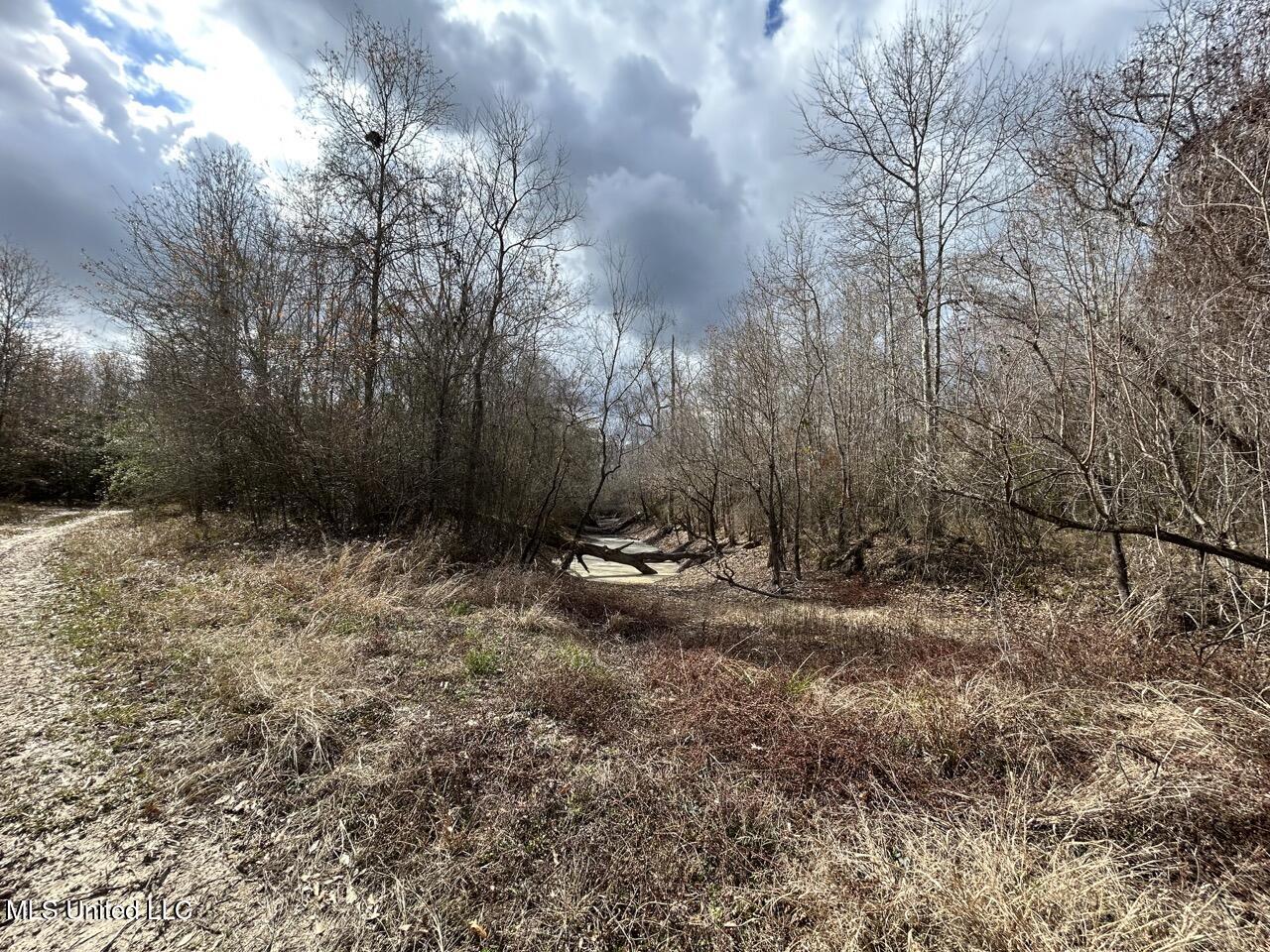 2600 Martin Tram Road Reeves, LA 70658 - Photo 29 of 40 IMG_2953 2 Large