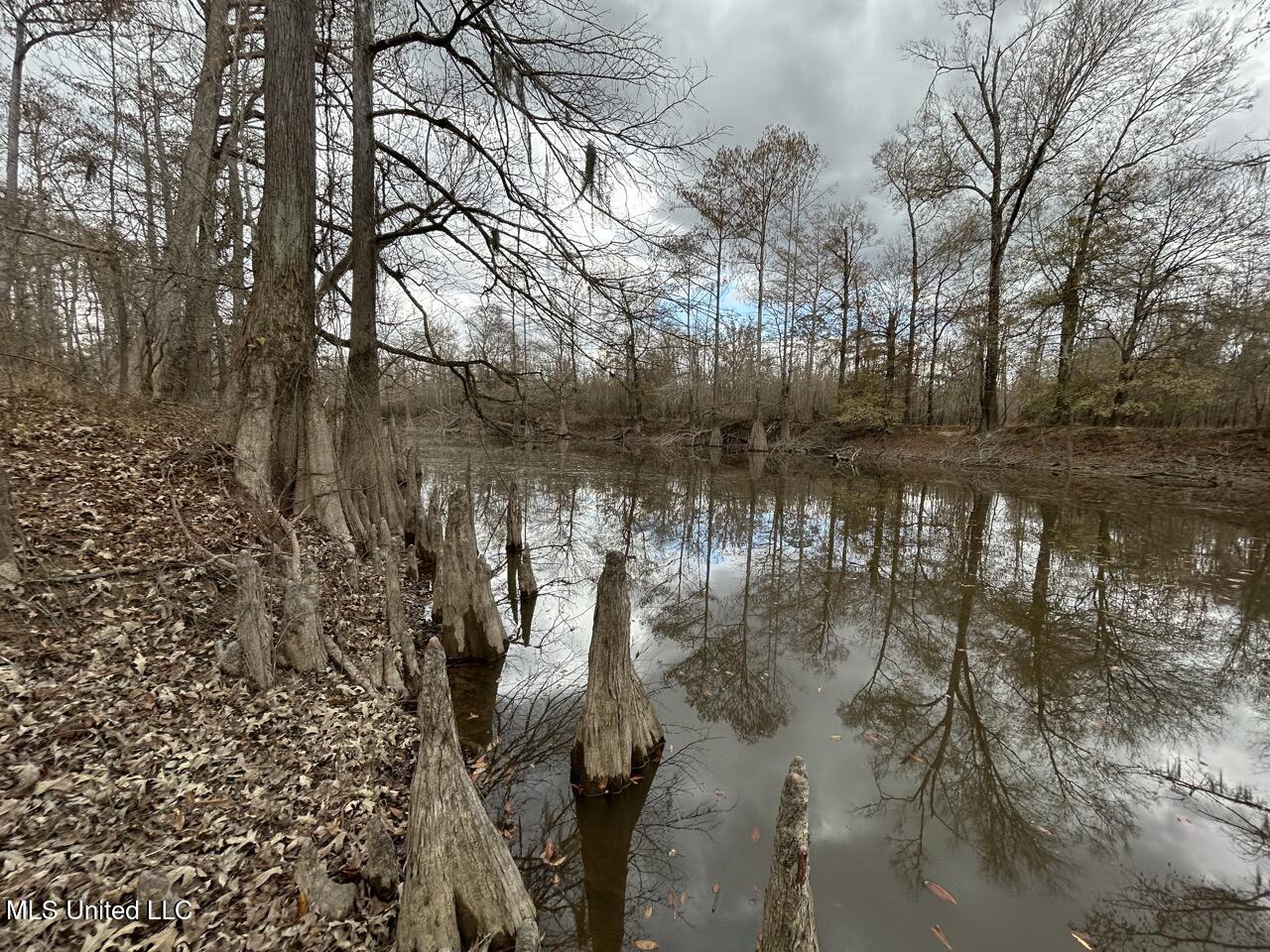 2600 Martin Tram Road Reeves, LA 70658 - Photo 32 of 40 IMG_2956 2 Large