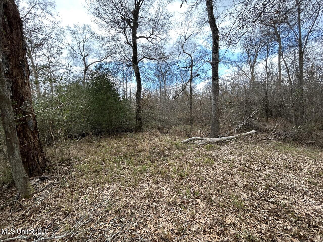 2600 Martin Tram Road Reeves, LA 70658 - Photo 36 of 40 IMG_2963 2 Large