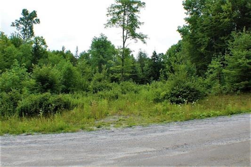 0 Holt Road Marshfield, VT 05658 - Photo 1 of 8