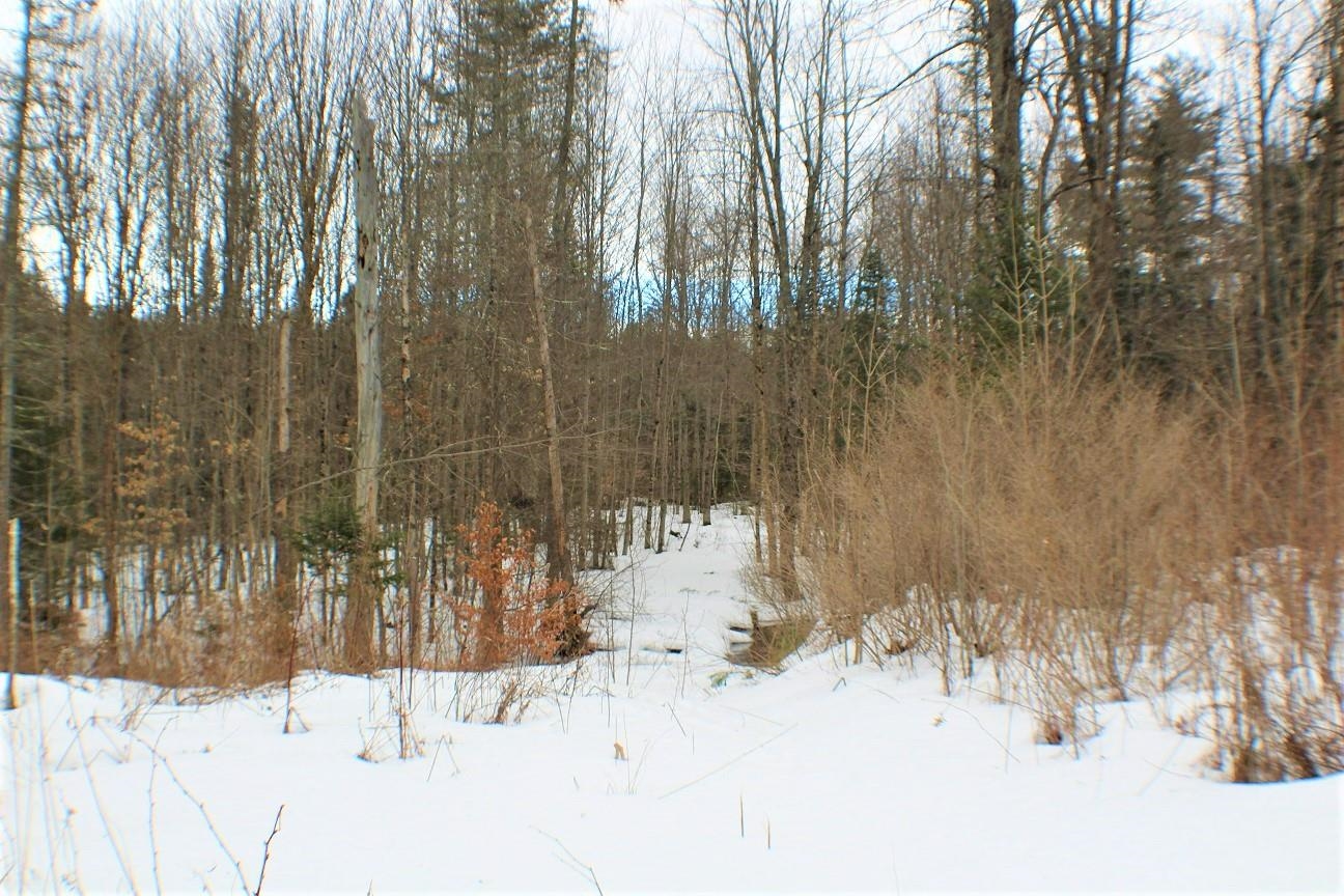 0 Holt Road Marshfield, VT 05658 - Photo 5 of 8