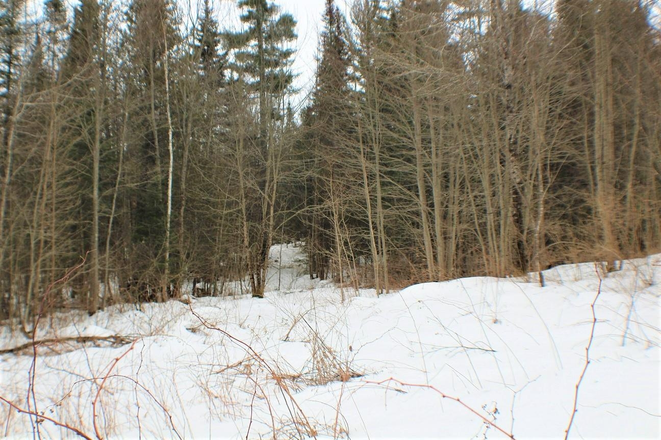 0 Holt Road Marshfield, VT 05658 - Photo 6 of 8