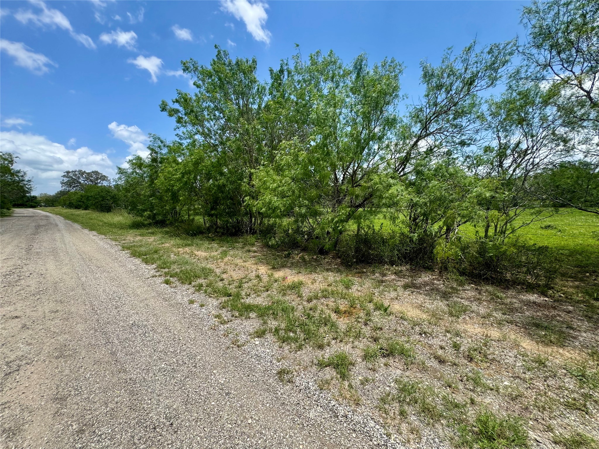 0 Batey Road Nixon, TX 78140 - Photo 12 of 13 a view of a large yard with lots of green space