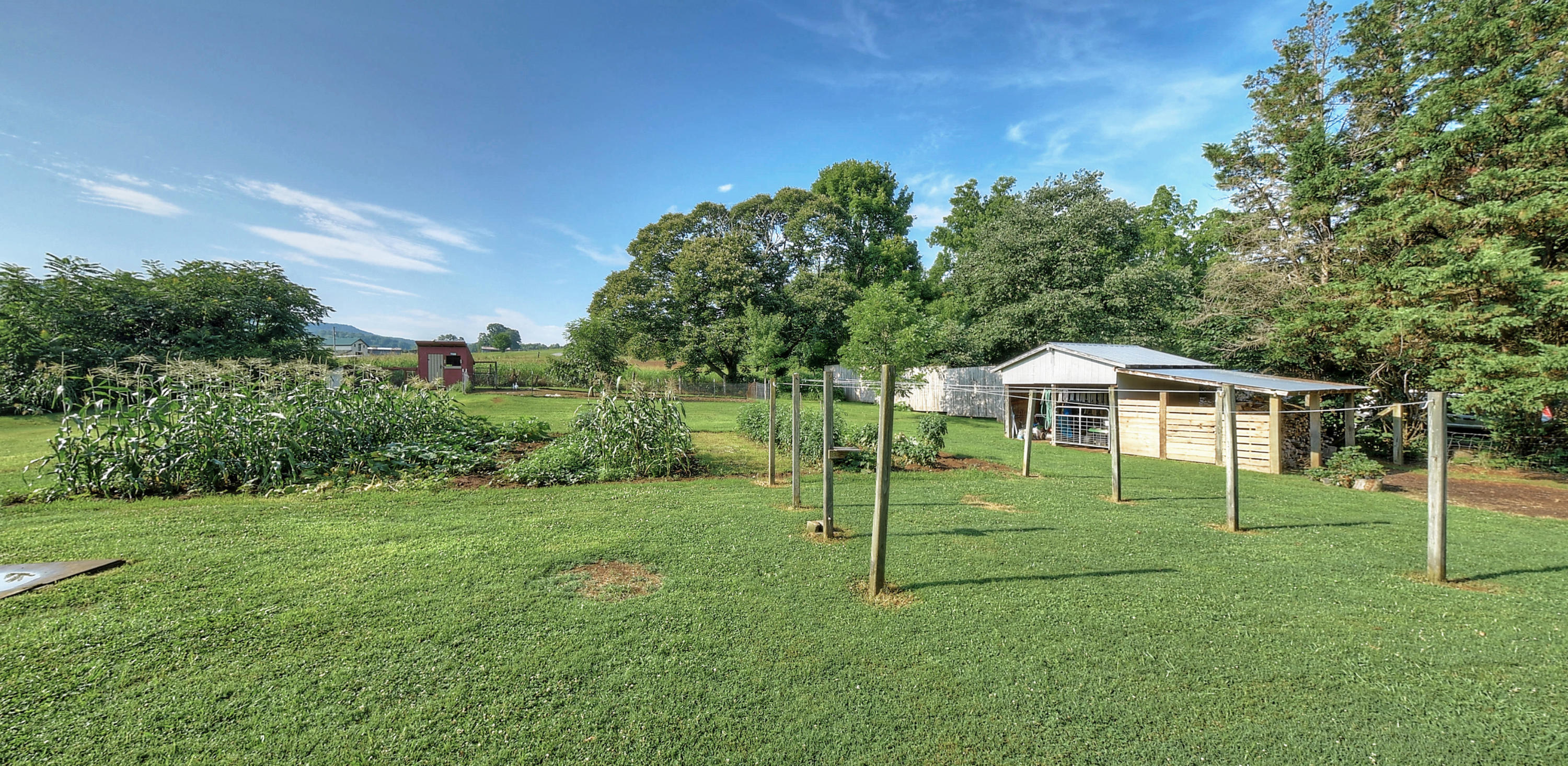 367 Toll Branch Road Johnson City, TN 37601 - Photo 39 of 55 DSC_0150_1_2_stitch