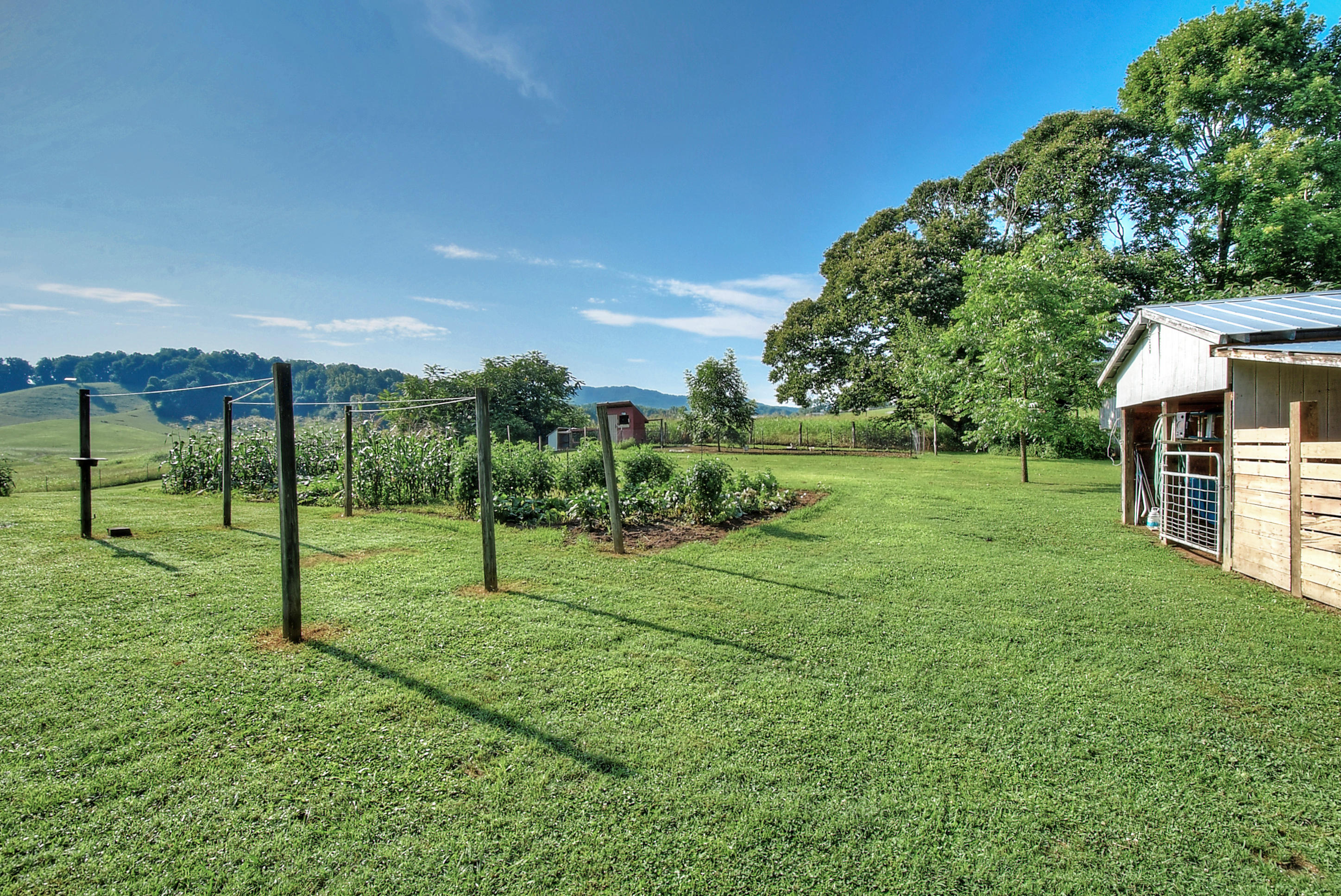 367 Toll Branch Road Johnson City, TN 37601 - Photo 40 of 55 DSC_0162_3_4