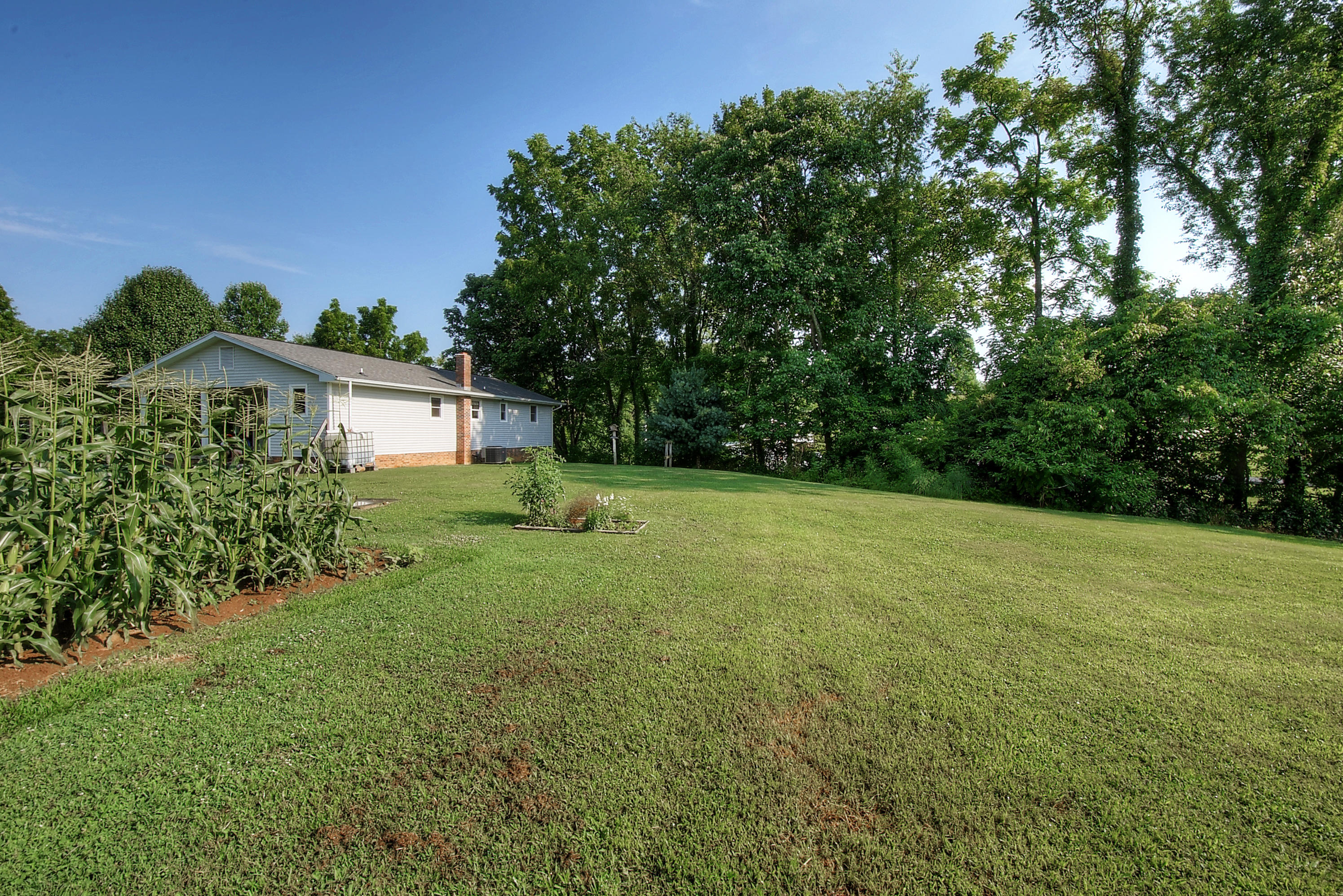 367 Toll Branch Road Johnson City, TN 37601 - Photo 47 of 55 DSC_0198_199_200