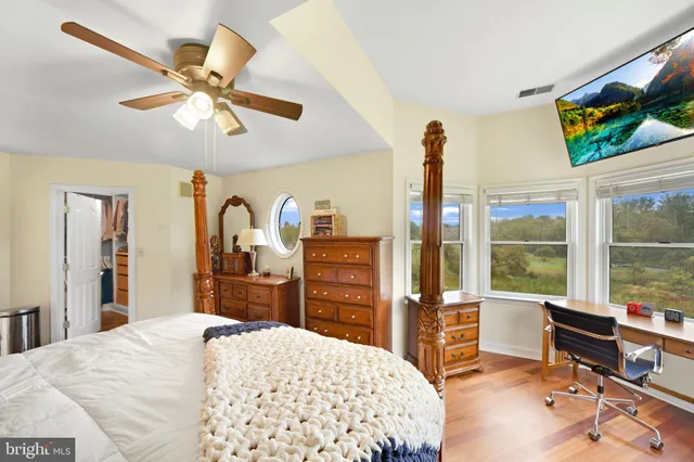 a view of a garden with a flower plants