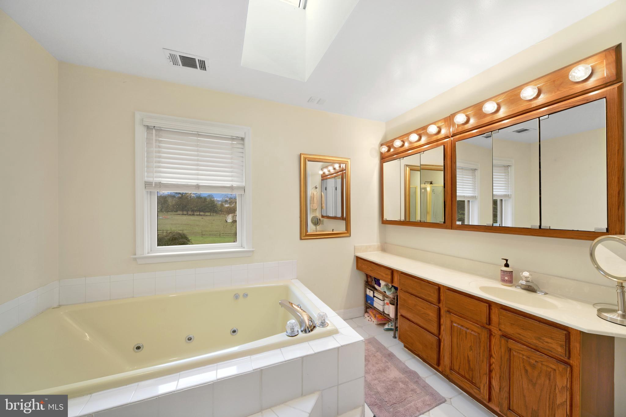 760 Gilbert Road Aberdeen, MD 21001 - Photo 29 of 50 a bathroom with a tub sink and mirror
