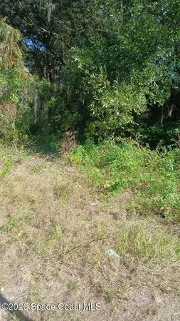 $16,000 | 0 Avenue O Ormond Beach, Ormond Beach, FL 32174