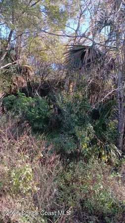 $16,000 | 0 Avenue O Ormond Beach, Ormond Beach, FL 32174