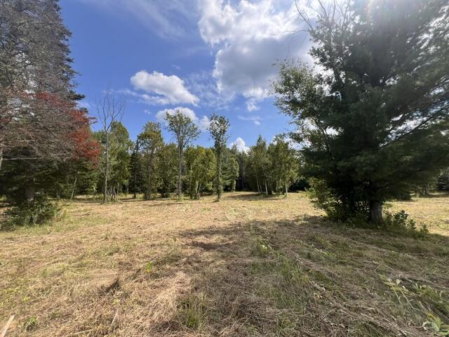 Lot 3 Off New Limerick Road Houlton, ME 04730 - Photo 8 of 30 IMG_2095