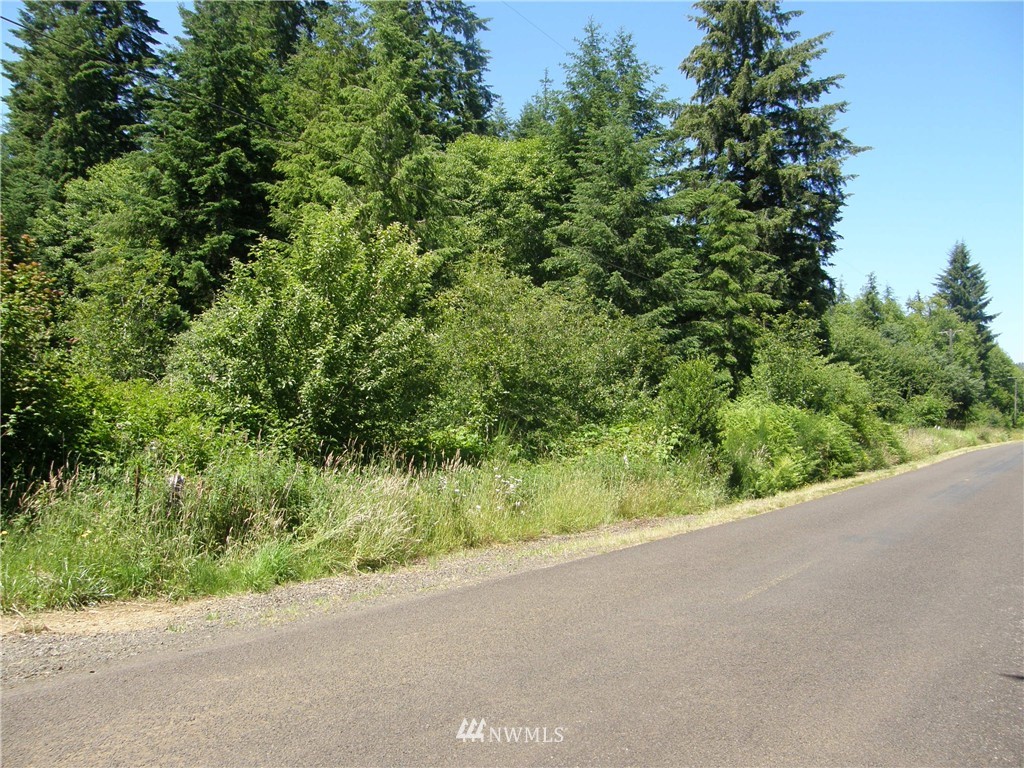 -2xx West Wishkah Road Aberdeen, WA 98520 - Photo 1 of 11 Gallery Image 1
