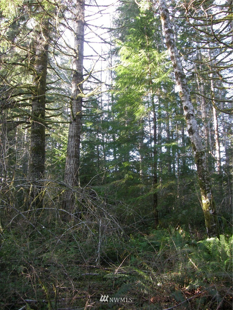 -2xx West Wishkah Road Aberdeen, WA 98520 - Photo 3 of 11 Gallery Image 3