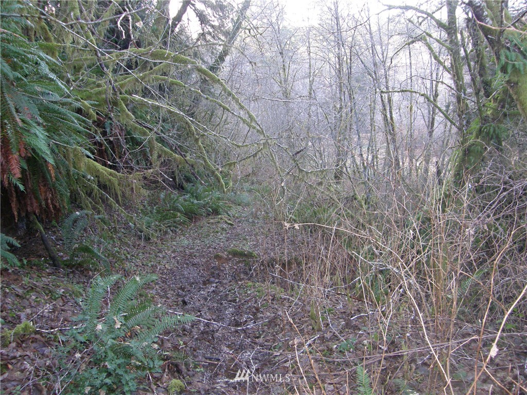 -2xx West Wishkah Road Aberdeen, WA 98520 - Photo 4 of 11 Gallery Image 4