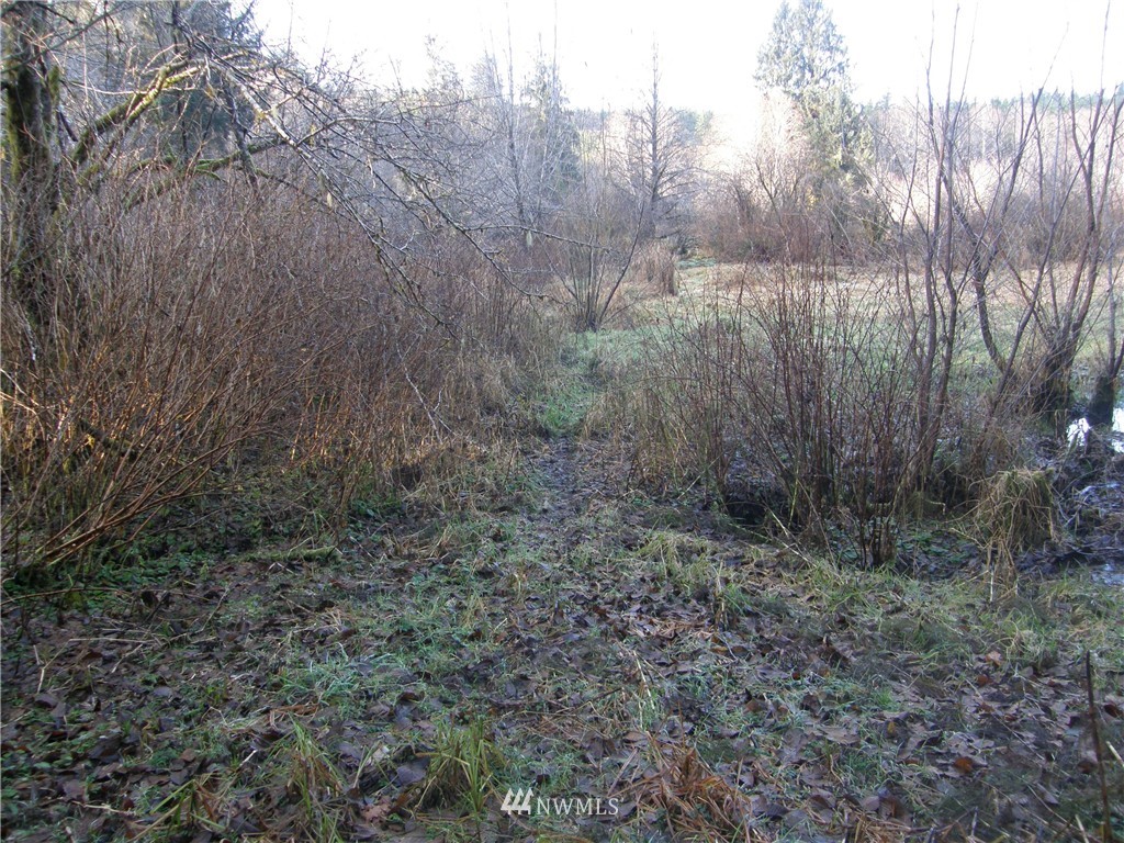 -2xx West Wishkah Road Aberdeen, WA 98520 - Photo 5 of 11 Gallery Image 5