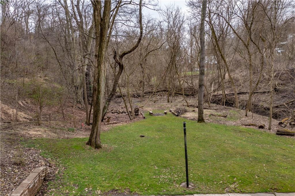 970 Braddock Road Pittsburgh, PA 15221 - Photo 23 of 25 a backyard of a house with lots of green space