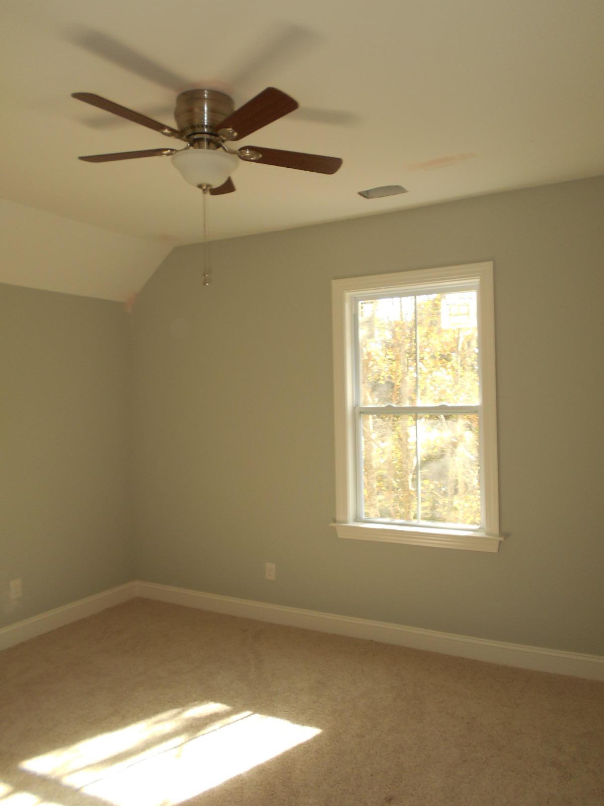 439 Wappoo Road Charleston, SC 29407 - Photo 21 of 31 DSCN4060