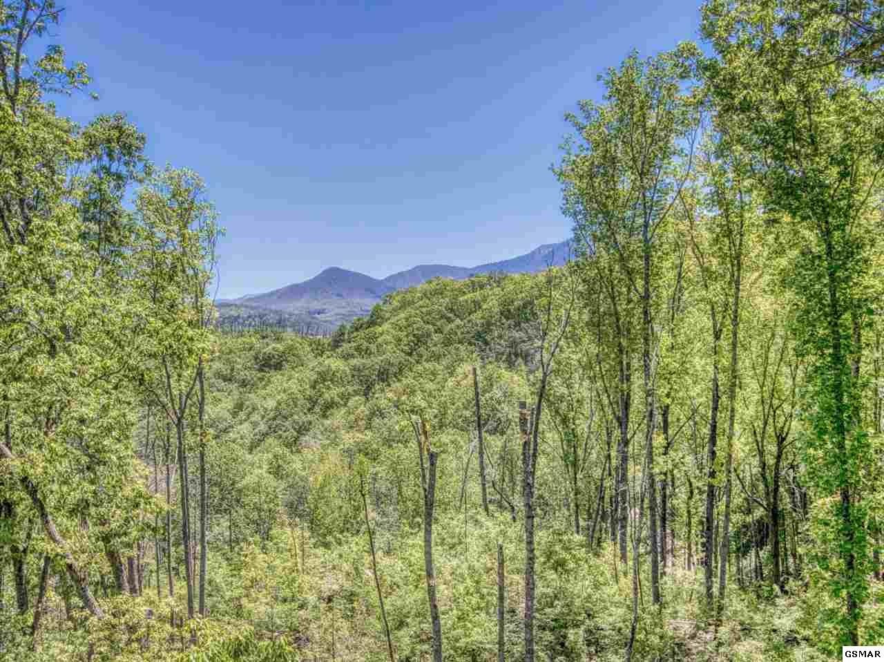 919 Cliff Branch Road Gatlinburg, TN 37738 - Photo 2 of 30 Gallery Image 2