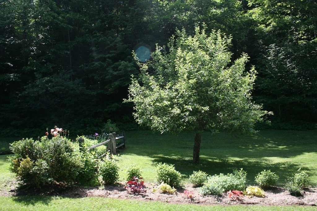 529 Brattleboro Road Leyden, MA 01337 - Photo 7 of 30 Gallery Image 7