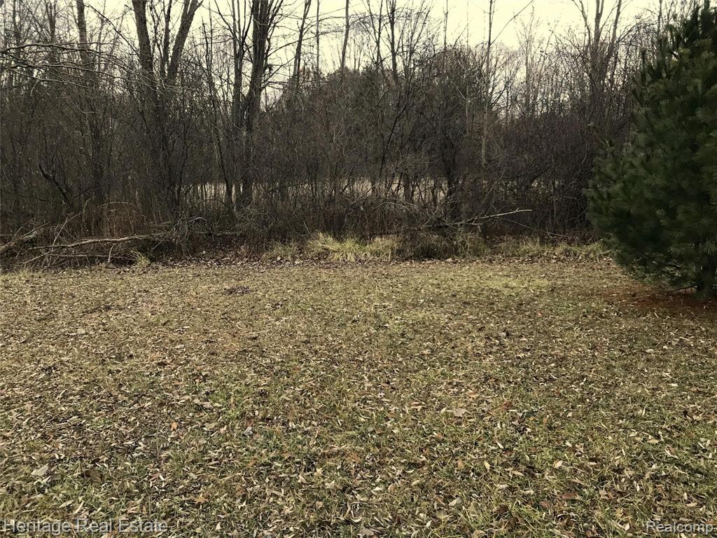 Vacant Baldwin Road Lake Orion, MI 48360 - Photo 10 of 11 Gallery Image 10