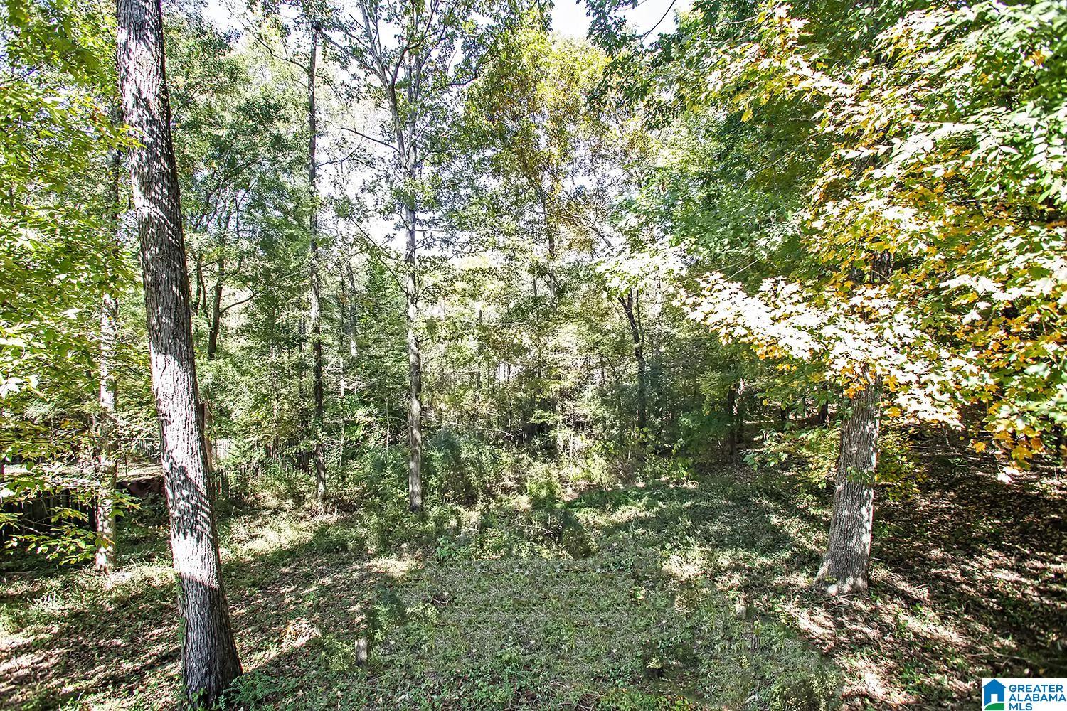228 Silverleaf Drive Pelham, AL 35124 - Photo 19 of 43