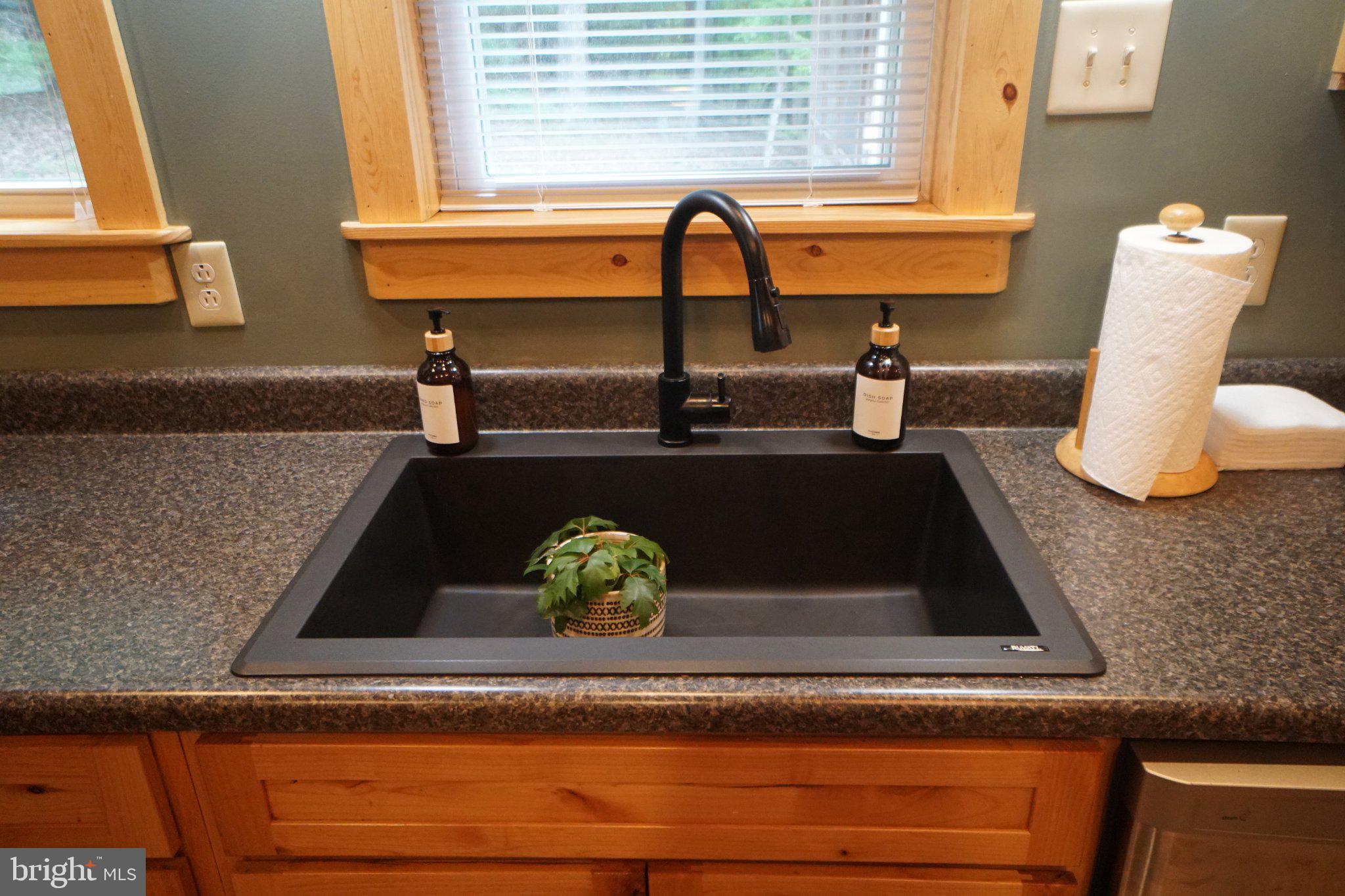 150 Sharp Ridge Lane Franklin, WV 26807 - Photo 41 of 69 Sleek black sink with natural accents.