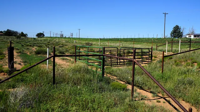 $497,500 | 1773 County Road 222, Amherst, TX 79312