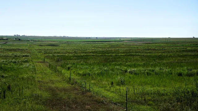 $497,500 | 1773 County Road 222, Amherst, TX 79312