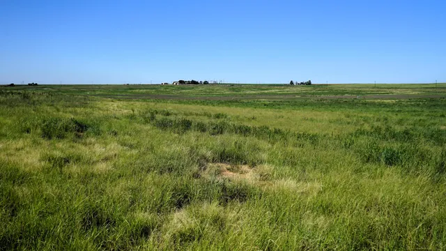 $497,500 | 1773 County Road 222, Amherst, TX 79312