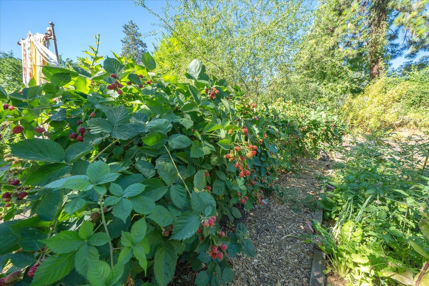 731 South Garfield Street, Unit 32 Spokane, WA 99202 - Photo 43 of 49