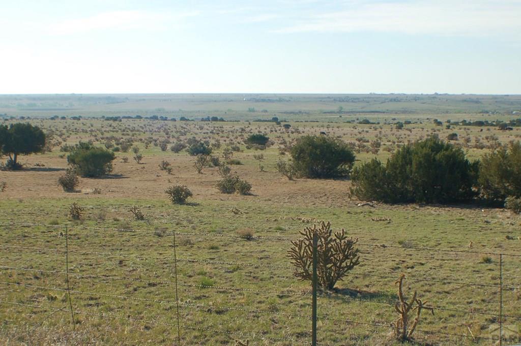 Tbd Tbd Ranch Road Florence, CO 81226 - Photo 21 of 25